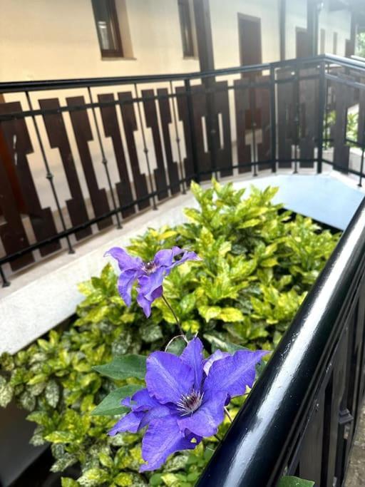 Spacious Fully Furnished Studio In Kavarna Apart Hotel Exterior photo